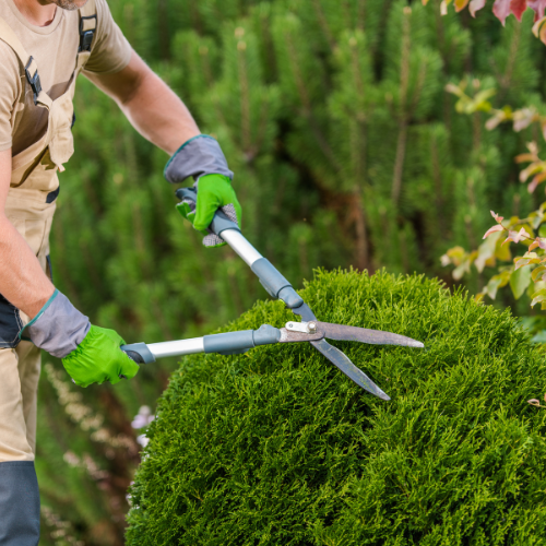 kmb hausmeisterservice (15) kmb hausmeisterservice (15)